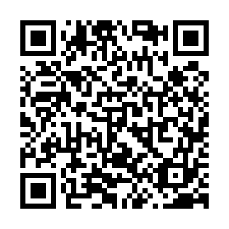 QR code for V66573