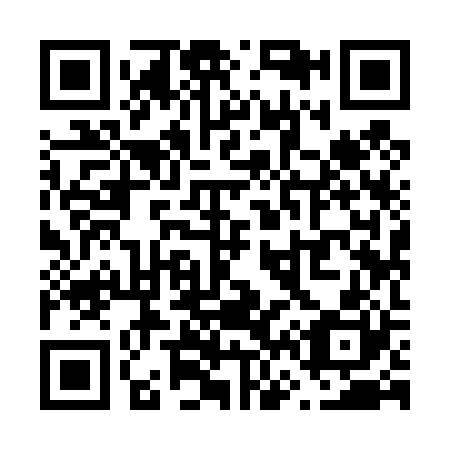 QR code for V69420