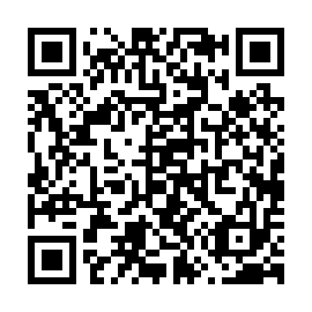 QR code for V70213