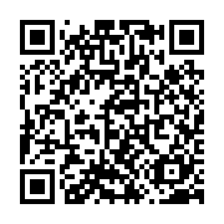 QR code for V73225