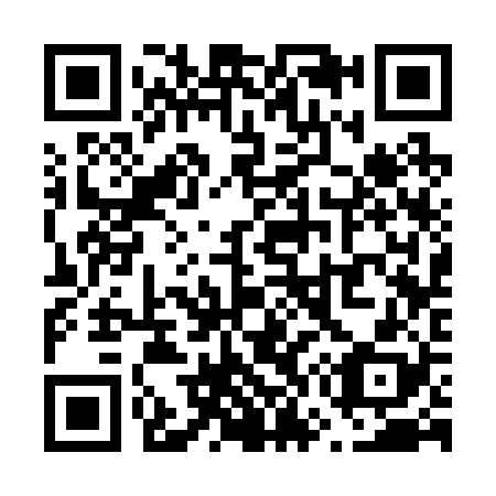 QR code for V73228