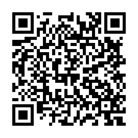 QR code for V73817