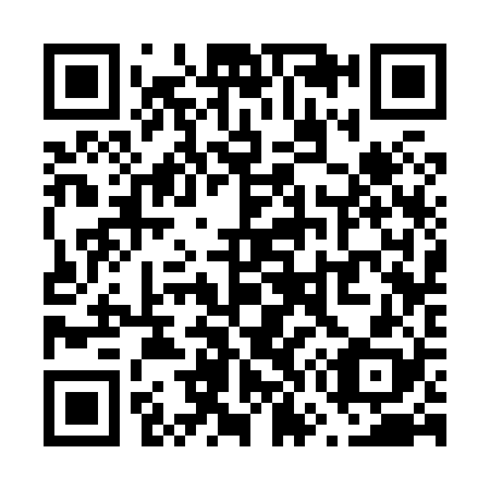 QR code for V73828