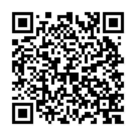 QR code for V77219