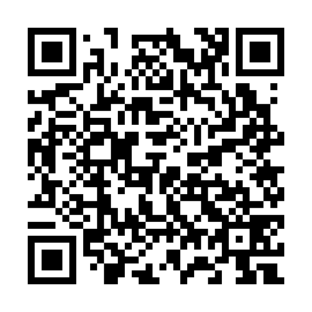 QR code for V77379