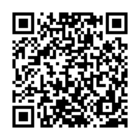 QR code for V79336