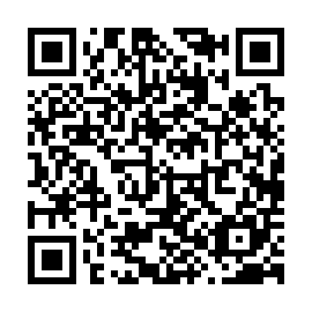QR code for V80305