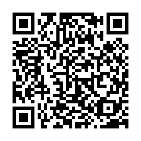 QR code for V81079