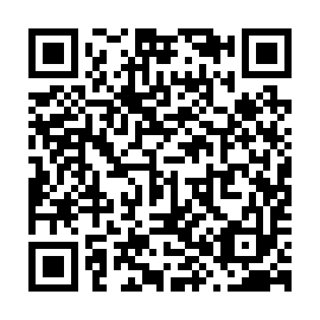 QR code for V81293