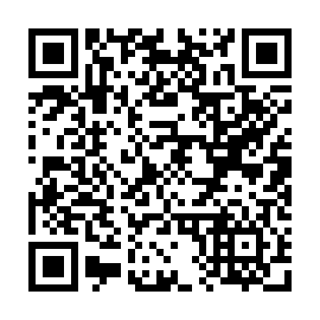 QR code for V81306