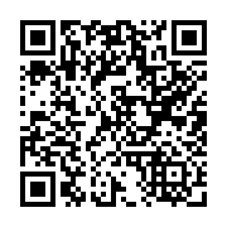 QR code for V81331