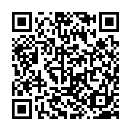 QR code for V81333