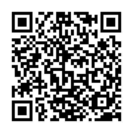 QR code for V81370