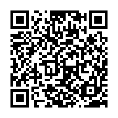 QR code for V81393