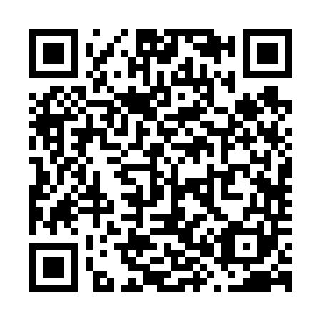 QR code for V82641