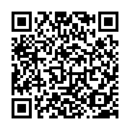 QR code for V86318