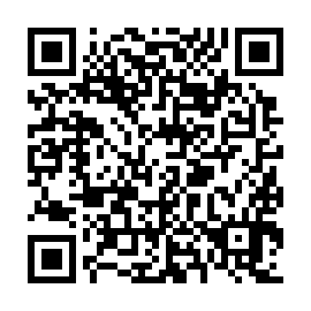 QR code for V86394