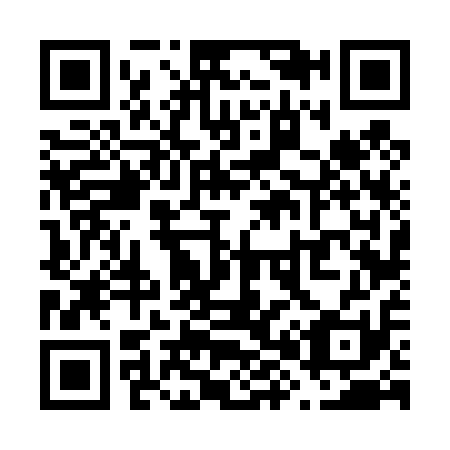 QR code for V86411