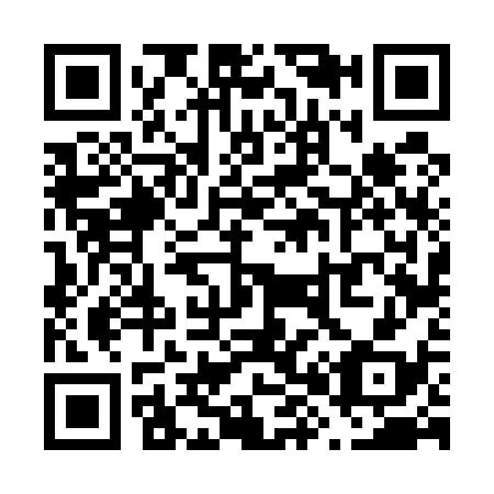 QR code for V86538