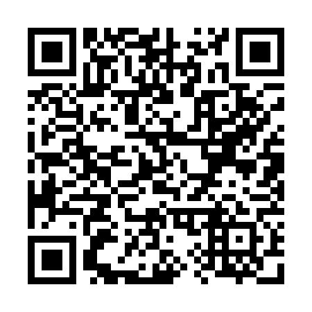 QR code for V91161