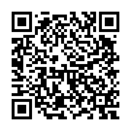QR code for V91411