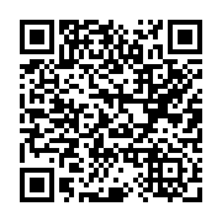QR code for V94313