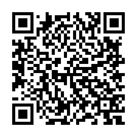 QR code for V95873