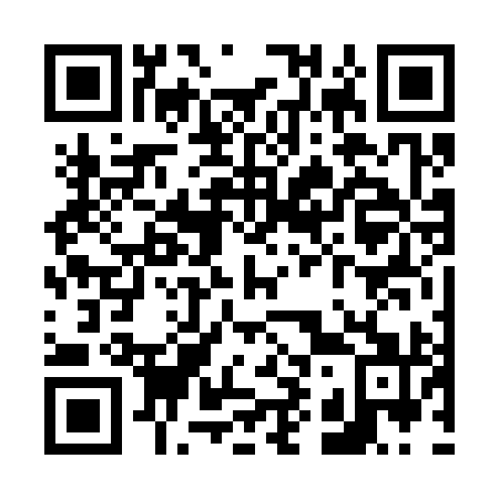 QR code for V96391