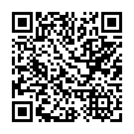 QR code for V96646