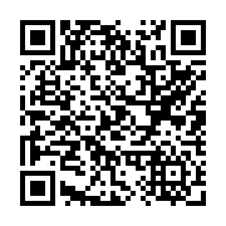 QR code for V97246