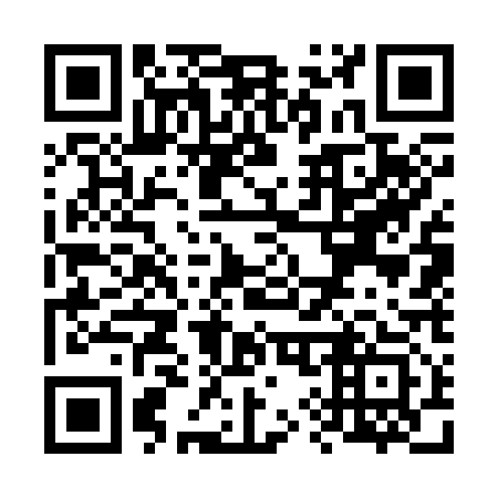 QR code for V97313