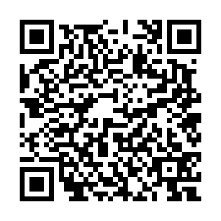 QR code for plate VAG-4335