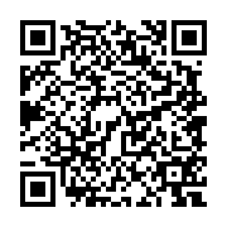 QR code for VAT-4541