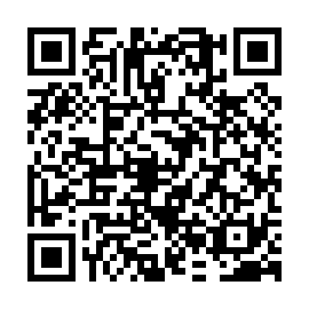 QR code for VBI-0313