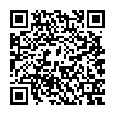 QR code for VDV0339