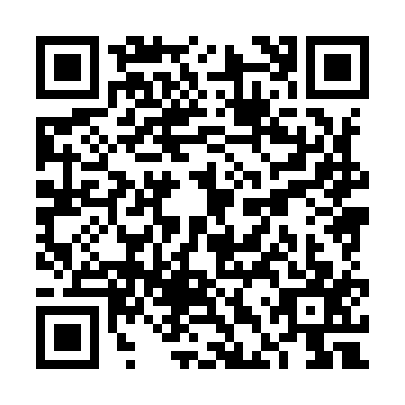 QR code for plate VDX-9176