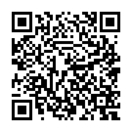 QR code for plate VEH-3667