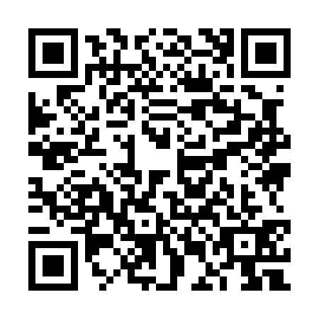 QR code for VEI0310