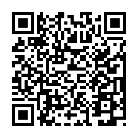 QR code for plate VES-2487