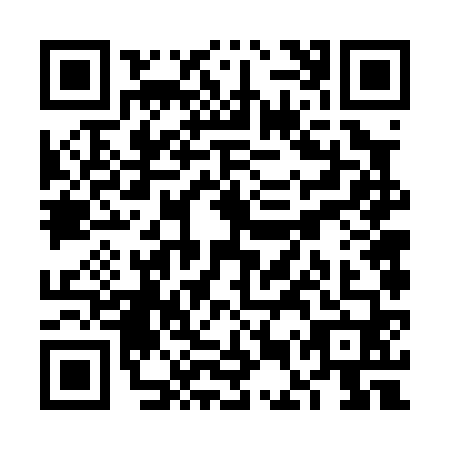 QR code for plate VEV-0603