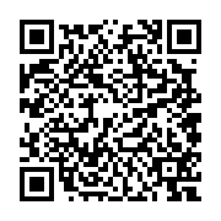 QR code for plate VFF-0133