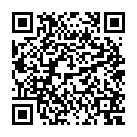 QR code for plate VGK-2029