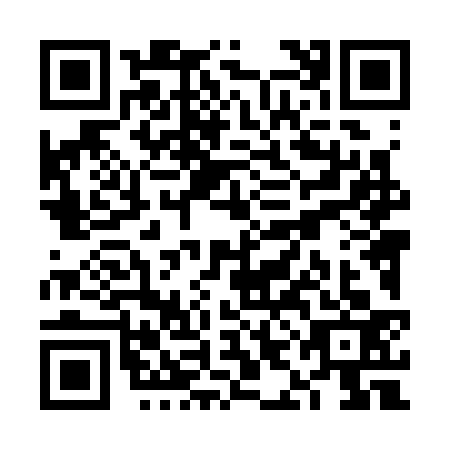 QR code for plate VIL-3334