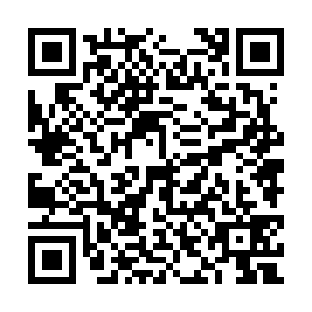 QR code for VIN-6391