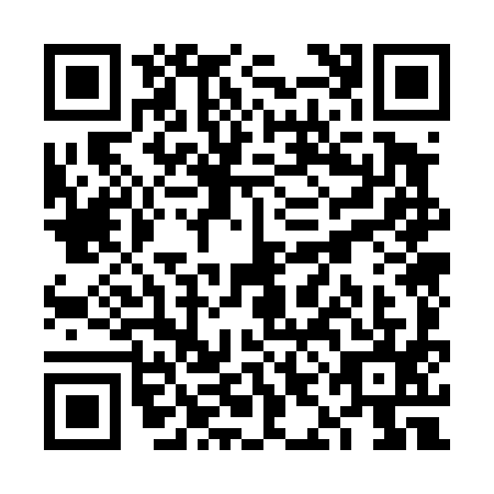 QR code for VIO4957