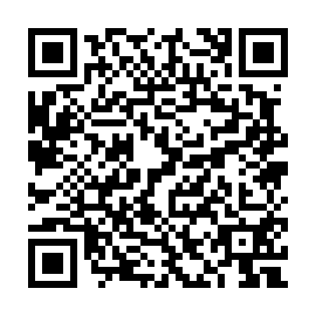 QR code for VIQ4501
