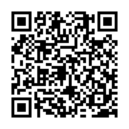 QR code for VIR0325