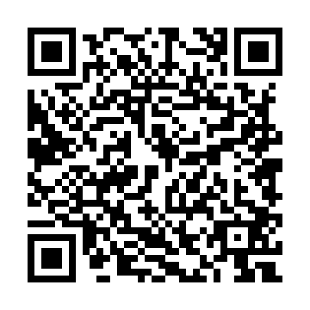 QR code for plate VIT-9029