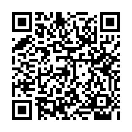 QR code for VIY0493