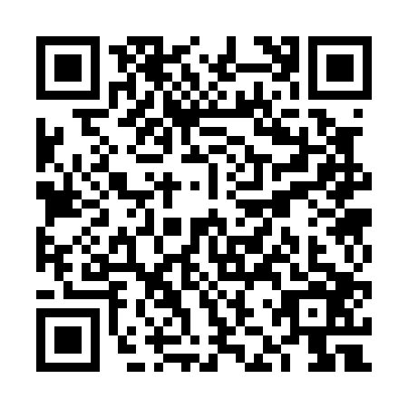 QR code for plate VJS-0069